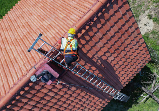 Best Roof Leak Repair  in Orangeburg, SC